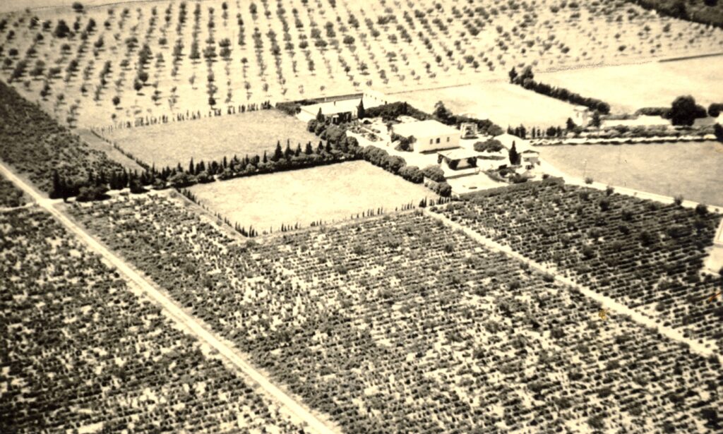 Foto storica di Panoramica Villa Cardile