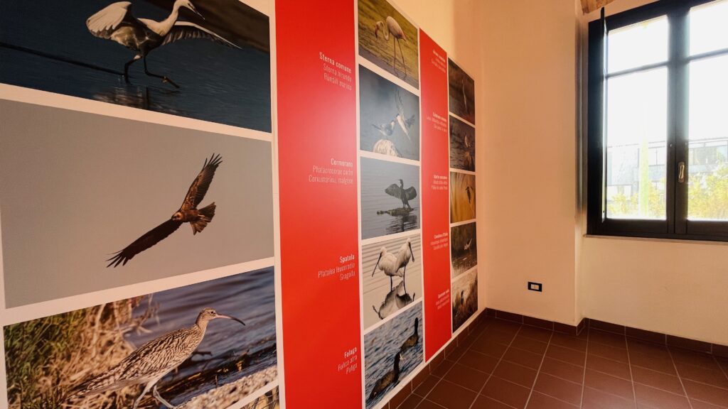 Sala della biodiversità, con i suoi pannelli espositivi