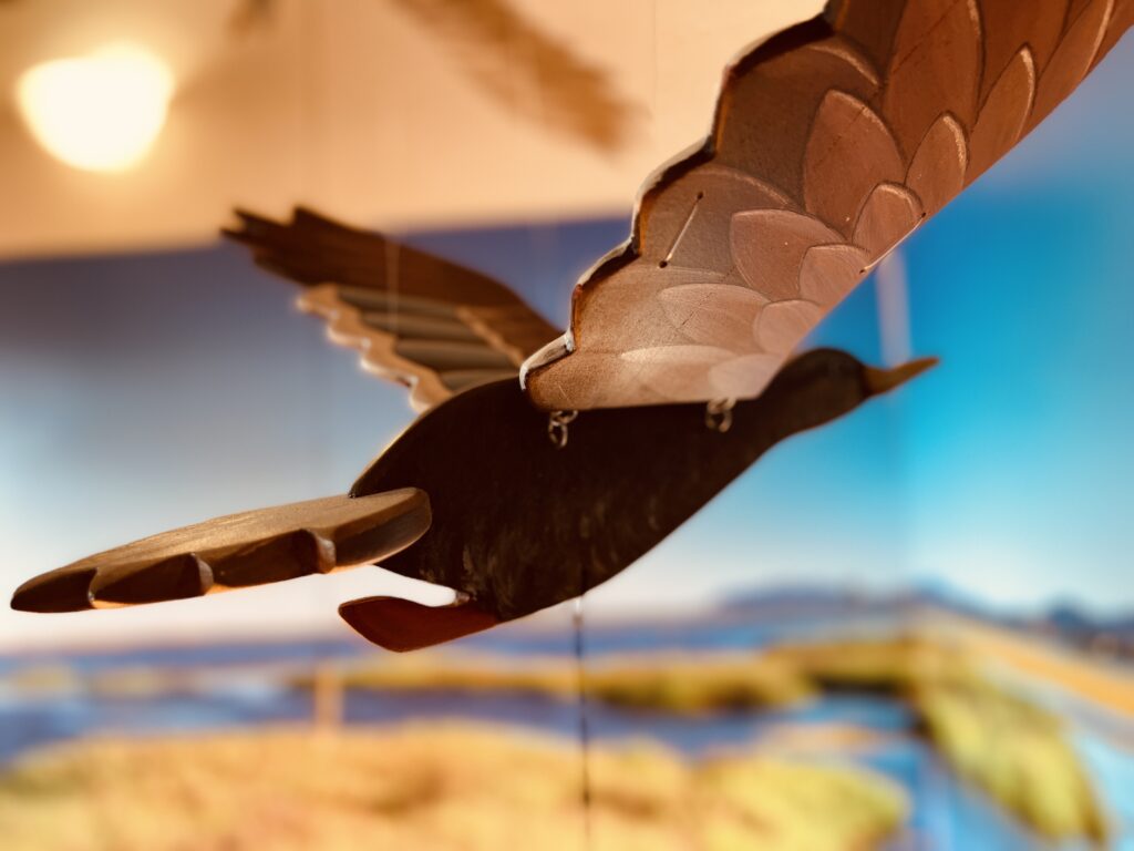 Un'anatra di legno in volo nella sala del volo nella laguna