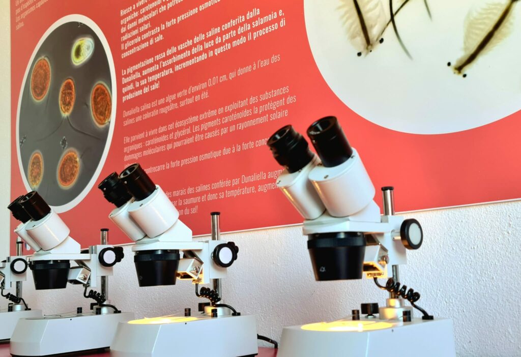 I microscopi del laboratorio micro e macro