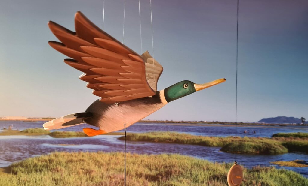 Un germano reale in legno che simula il volo nella laguna