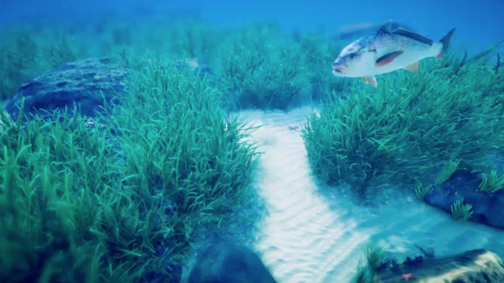 Il fondale marino visto in 3d da un batiscafo virtuale