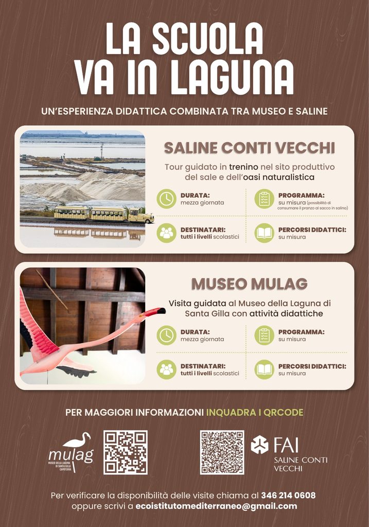 La Scuola va in Laguna: nasce la nuova esperienza didattica combinata tra MuLag e Saline Conti Vecchi! whatsapp image 2026 09 30 at 15.19.33